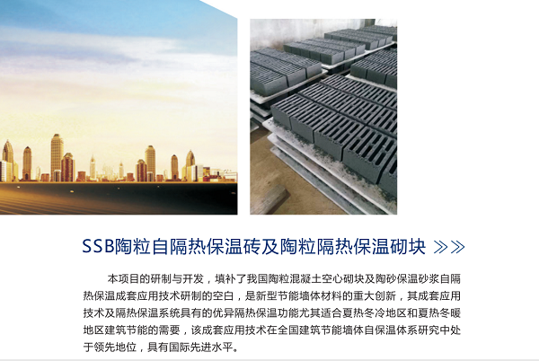 欣城陶粒自保温混凝土多孔砖,益阳陶粒自保温混凝土多孔砖